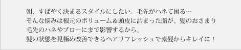 朝、すばやく決まるスタイルにしたい。毛先がハネて困る…そんな悩みは根元のボリューム＆頭皮に詰まった脂が、髪のおさまり 毛先のハネやブローにまで影響するから。髪の状態を見極め改善できるヘアリフレッシュで素髪からキレイに！